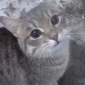 Meet your Posher, Mattie